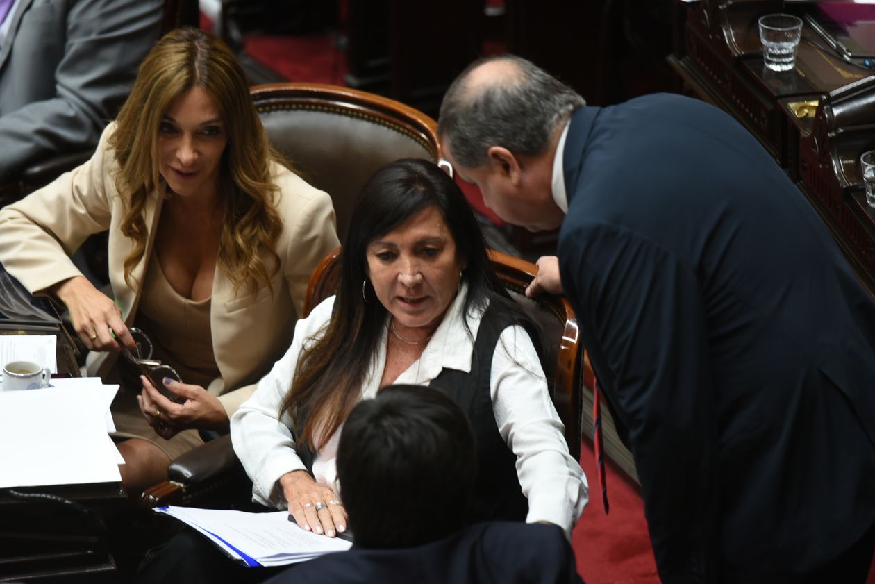 Laura Rodríguez Machado, de La Libertad Avanza.&nbsp;