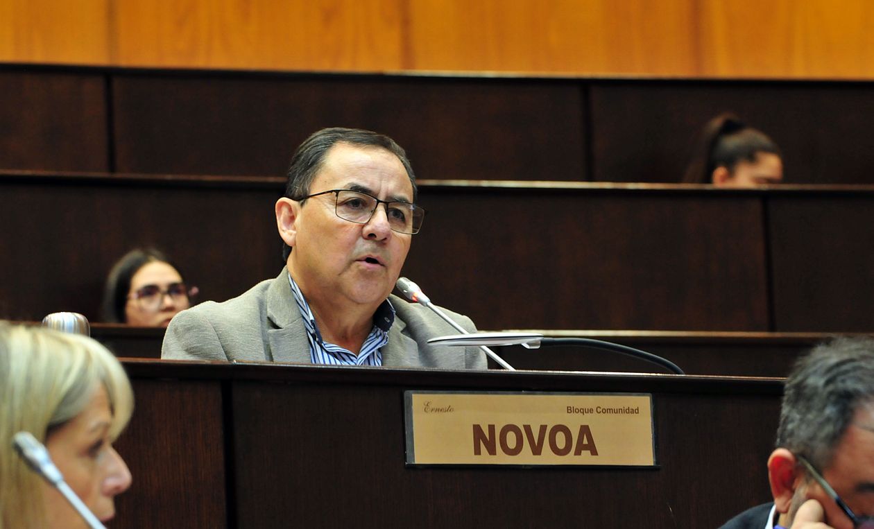 Novoa preside el bloque de Comunidad, el partido de Rolando Figueroa, y la comisión de Asuntos Constitucionales en la Legislatura de Neuquén.&nbsp;