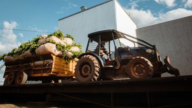 el mate cerro la grieta politica en misiones
