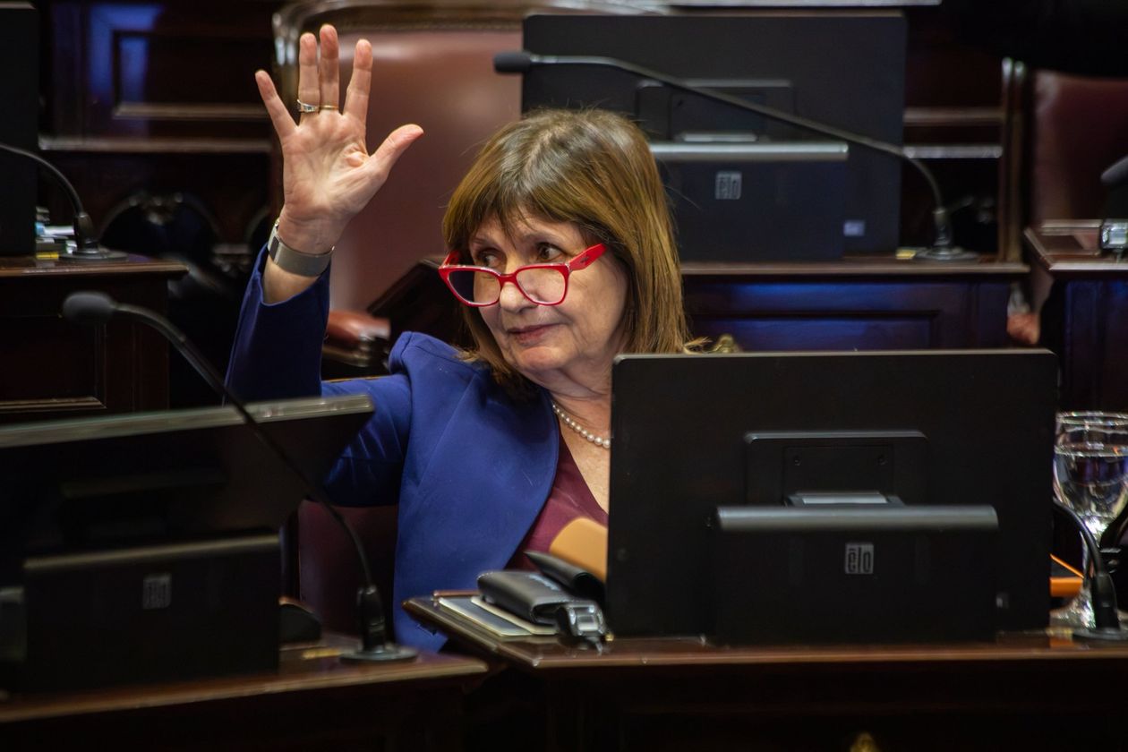 ¿Patricia Bullrich candidata a vice? La data detrás de sus diferencias con Javier Milei