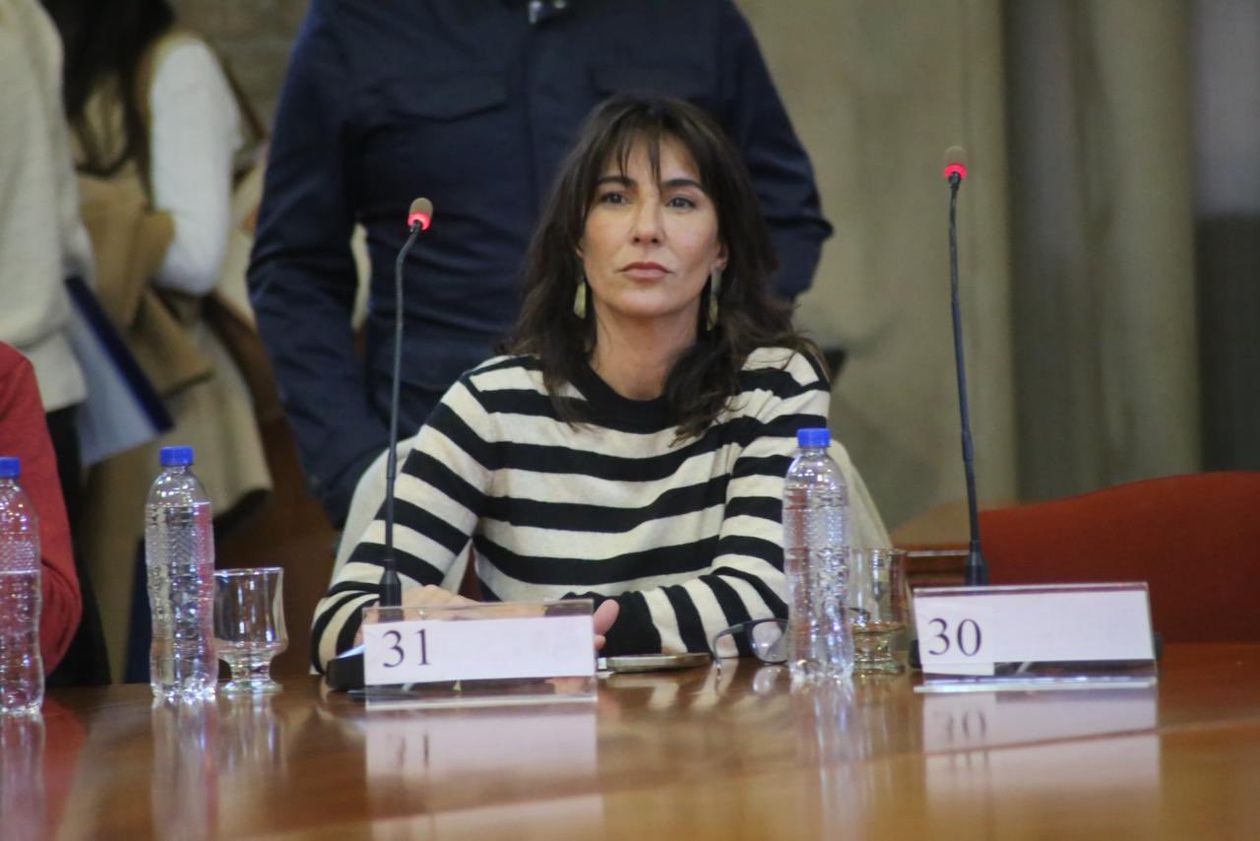 Natalia de la Sota durante una jornada de reflexión sobre la Ley de Financiamiento Universitario
