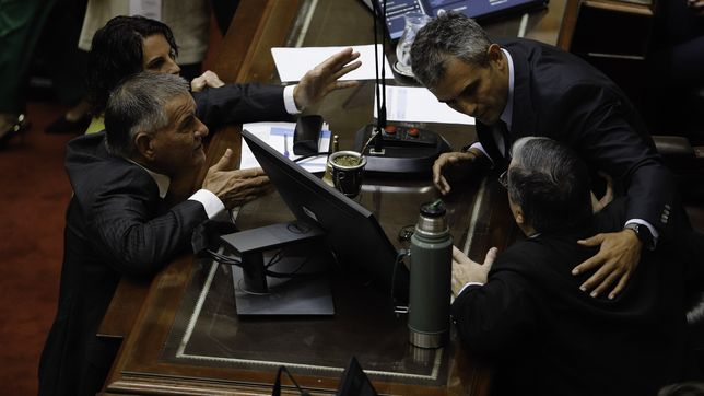 Martín Menem, presidente de Diputados. 