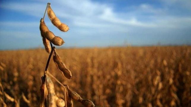 por la sequia, recortan al 2% el crecimiento del ano