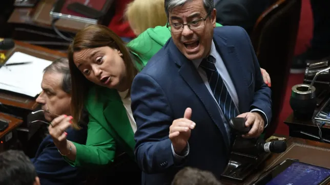 Germán Martínez y Cecilia Moreau, de UP, ganadores en la sesión de jubilaciones. 