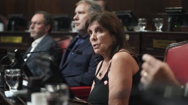 teresa garcia: el fdt se conformo gracias a la inteligencia de cristina