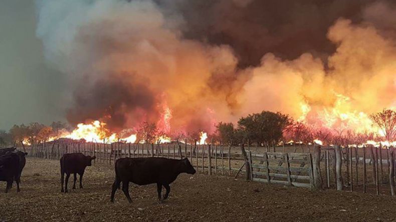 Desde principios de diciembre, en La Pampa los incendios devoraron más de 140.000 hectáreas.