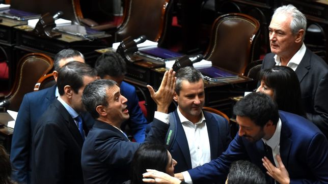 Martín Menem, coordina el debate de la ley ómnibus.&nbsp;