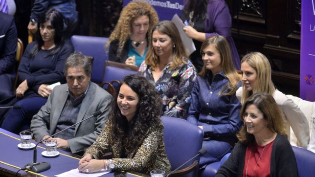 las listas de cfk y vidal consagran la (dis)paridad de genero en la legislatura