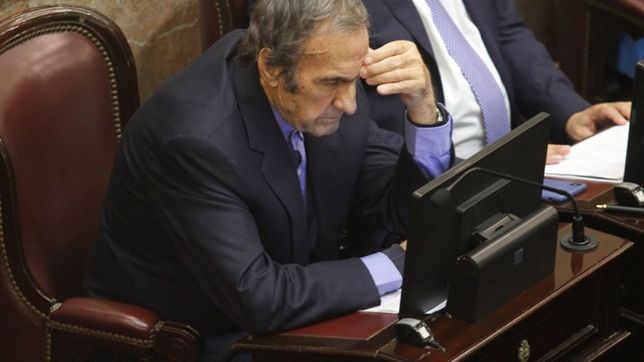 bandera a cuadros para lole