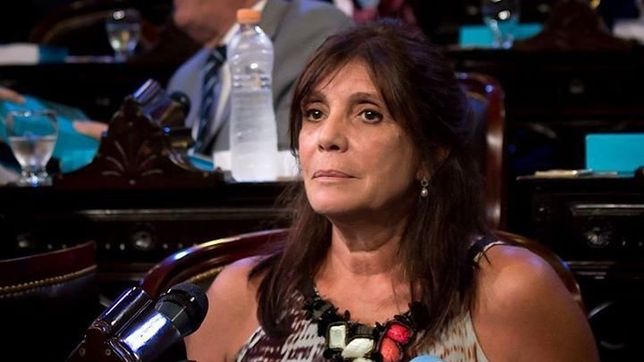 teresa garcia: ?zannini la garantia de continuidad y la profundizacion del proyecto