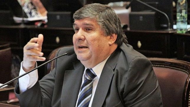 celeste que te quiero verde: mayans firmo un comunicado feminista