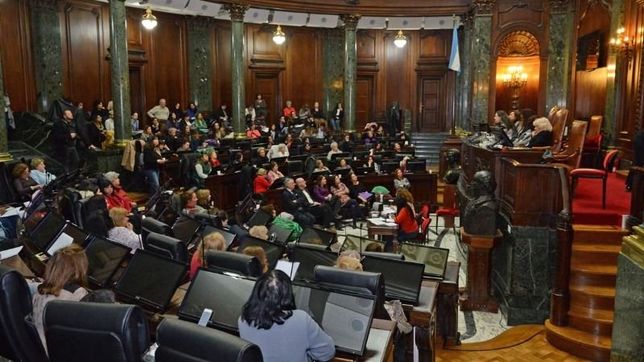 inauguraron el parlamento de la mujer en la legislatura portena