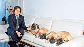 Manuel Adorni: Si el Presidente dice que en Olivos hay cinco perros, hay cinco perros