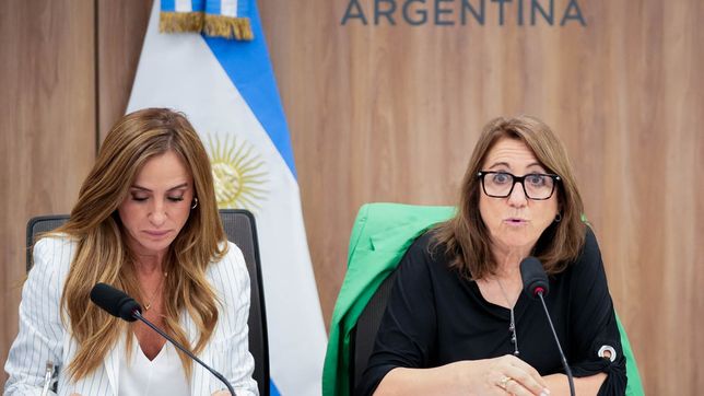 Victoria Tolosa Paz y Viviana Fein, durante el informe de fentanilo en Diputados.&nbsp;