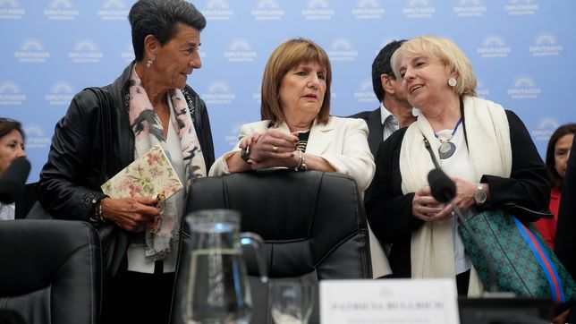 Patricia Bullrich.&nbsp;