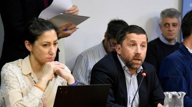 efecto milei: up dictamino el proyecto para proteger a aerolineas sin la presencia de jxc