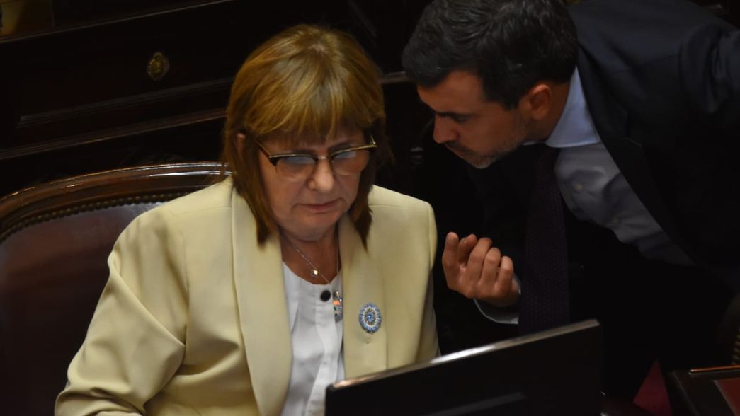 Patricia Bullrich, durante el debate de Inocencia Fiscal, la ley de Javier Milei para que usen dólares colchón.&nbsp;