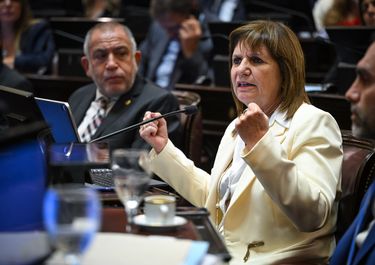 Patricia Bullrich, durante la votación de la reforma laboral de Javier Milei.&nbsp;