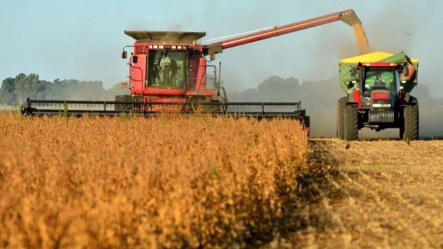 el dolar soja abre una grieta y azuza a los halcones del campo bonaerense