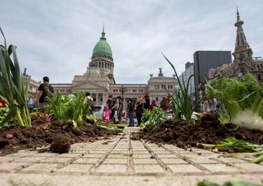 Un sistema que produce mercancías y no alimentos