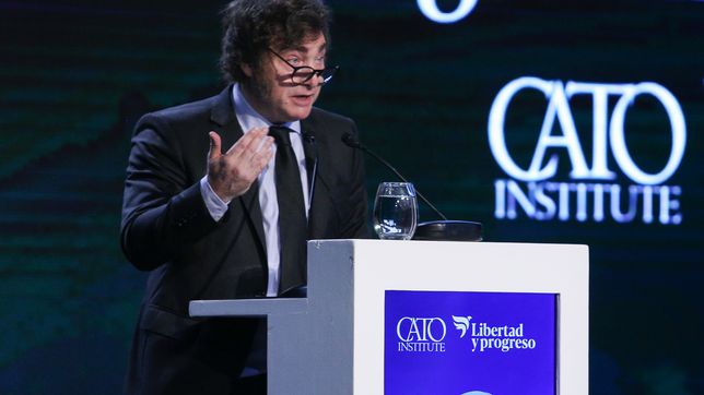 El gobierno de Javier Milei y el cepo cambiario
