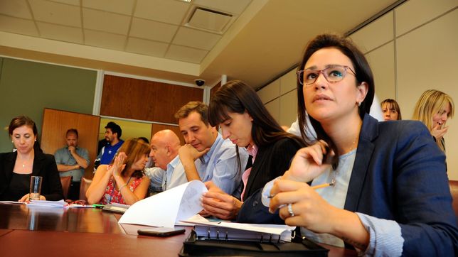 neuquen: paridad de genero en las comisiones de la legislatura