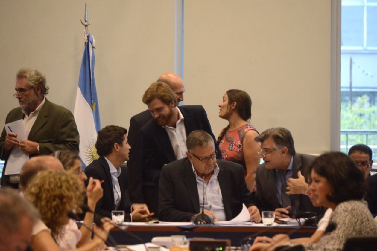 Comision Trabajo Diputados Daer Recalde Laspina Massot