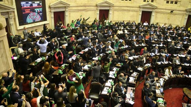 en una sesion memorable, diputados aprobo la legalizacion del aborto