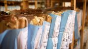negacionismo oficial y derechos humanos: un freno a la obsesion por triturar la memoria