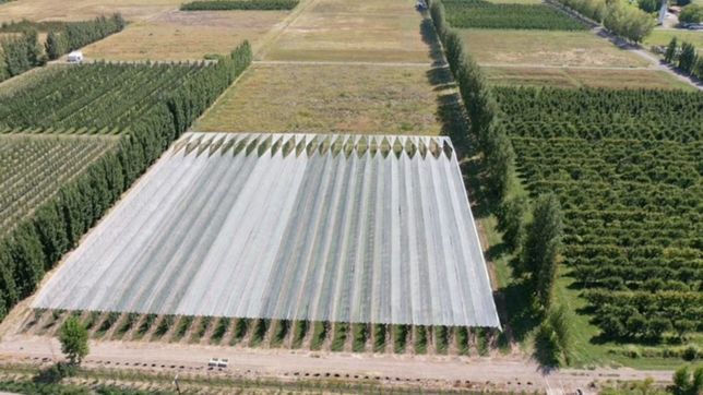 el silencio de kulfas preocupa a las exportadoras de la patagonia