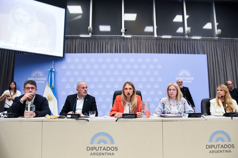 Gabriela Brower de Koning, al frente del debate sobre la movilidad de las jubilaciones.&nbsp;