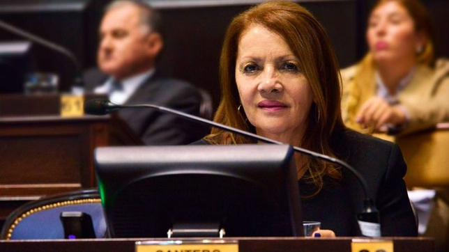 cantero, tras barrer a un baron del conurbano: ?habia un gobierno agotado?