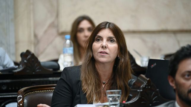 Germana Figueroa Casas, diputada del PRO por Santa Fe, quiere ir por otro mandato.