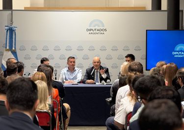 Federico Sturzenegger, durante su exposición en Diputados. 