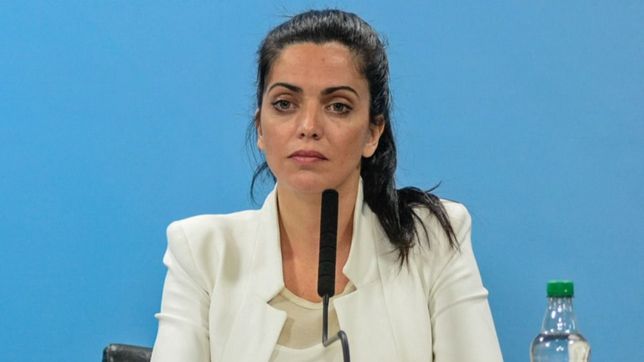 volnovich: ?las vallas fueron un error de larreta?