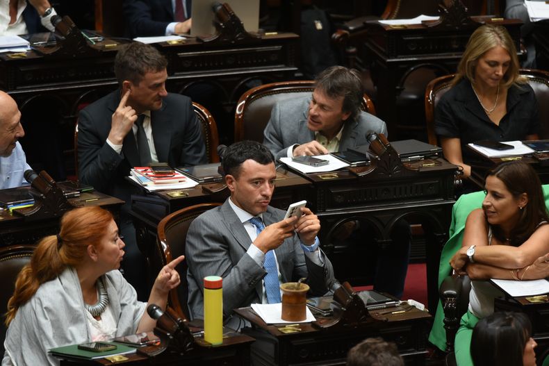 El bloque de la UCR en Diputados, clave para sostener vetos.&nbsp;