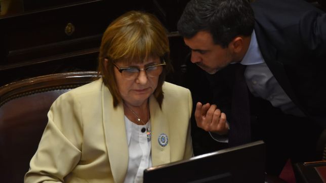 Patricia Bullrich, durante el debate de Inocencia Fiscal, la ley de Javier Milei para que usen dólares colchón.&nbsp;