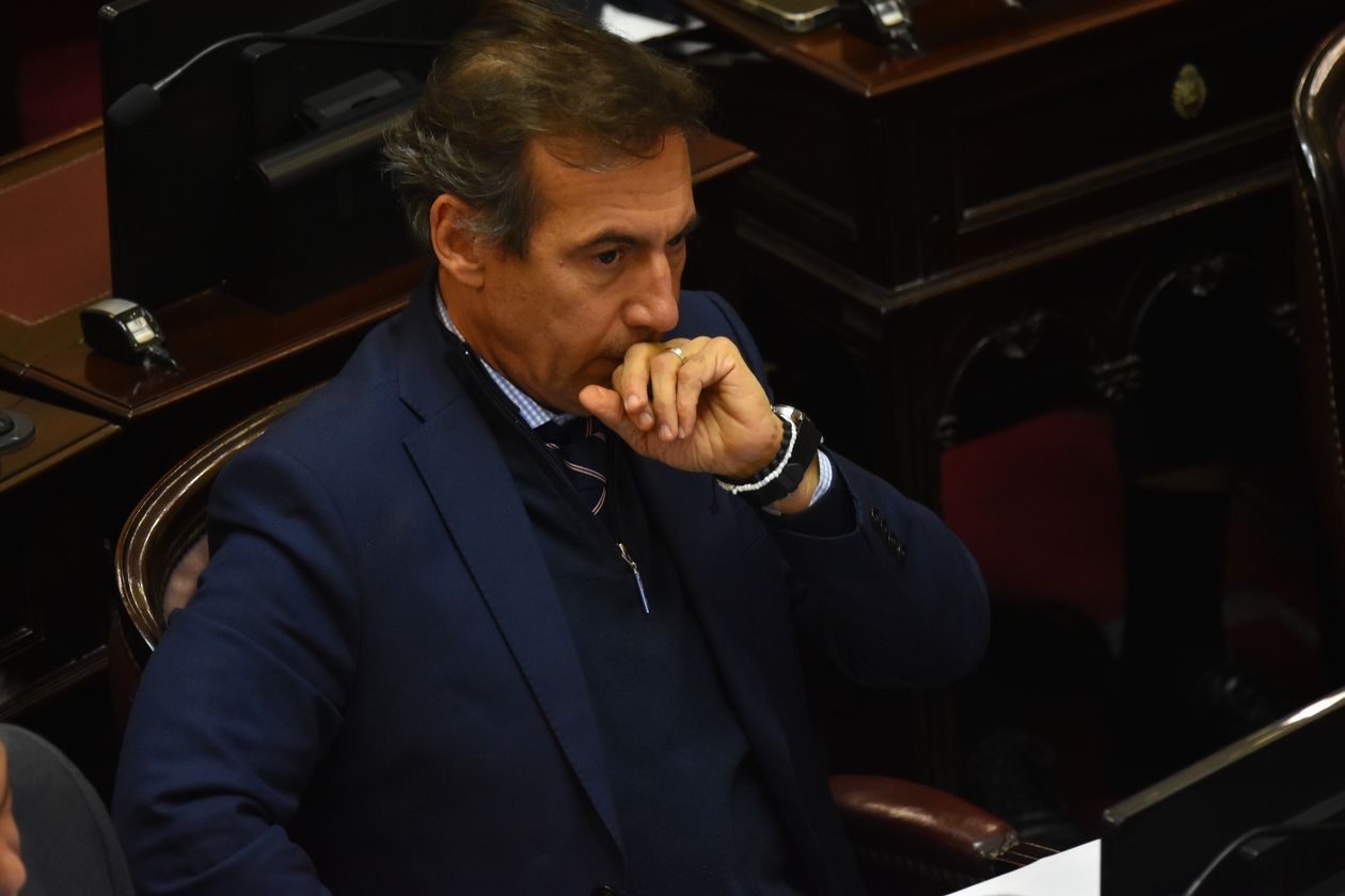 Luis Naidenoff, jefe del bloque UCR en el Senado.&nbsp;