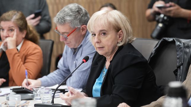 Silvana Giuidici, diputada del PRO, cercana&nbsp; a Patricia Bullrich.&nbsp;