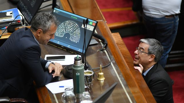 Por la muerte del papa Francisco, Unión por la Patria quiere postergar las interpelaciones por el escándalo Libra