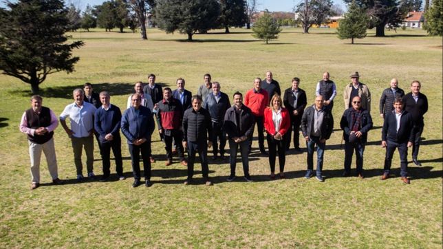 como juegan los intendentes radicales la campana manes