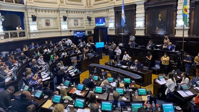 hecha la ley, hecha la yapa: pierde vidal y hay reeleccion para todo el mundo