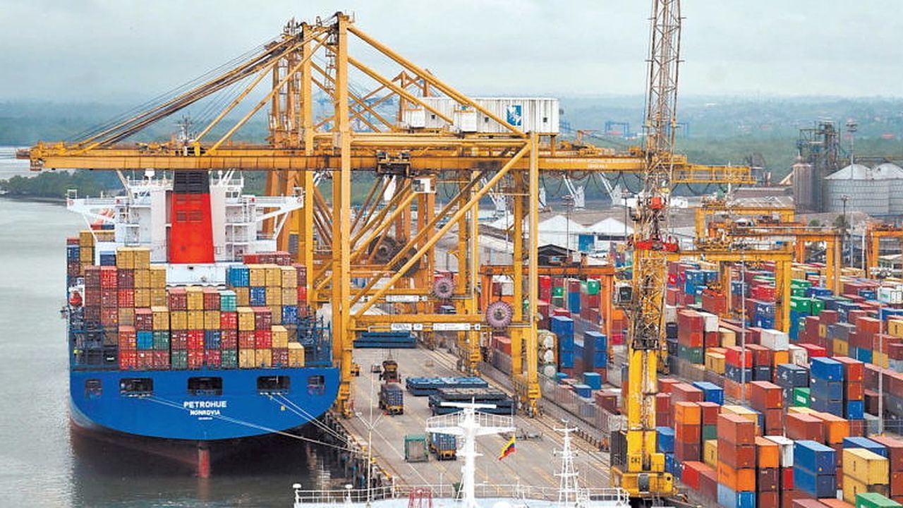 La Patagonia se afianza como región clave para el crecimiento exportador.