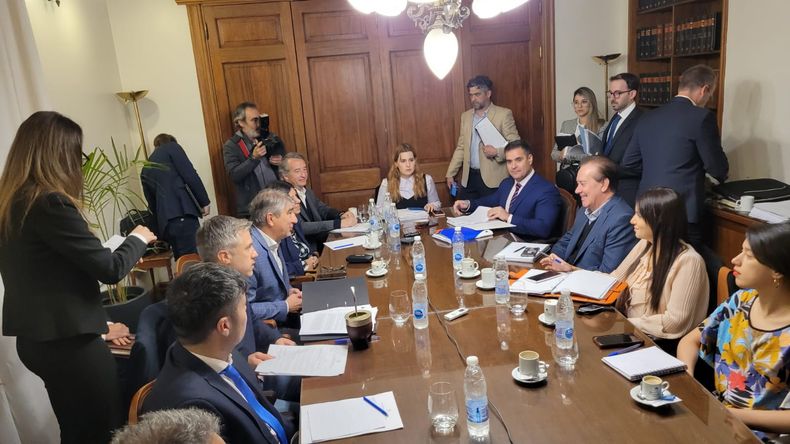 El auditor Leandro Mai mira a cámara, en la reunión bicameral.