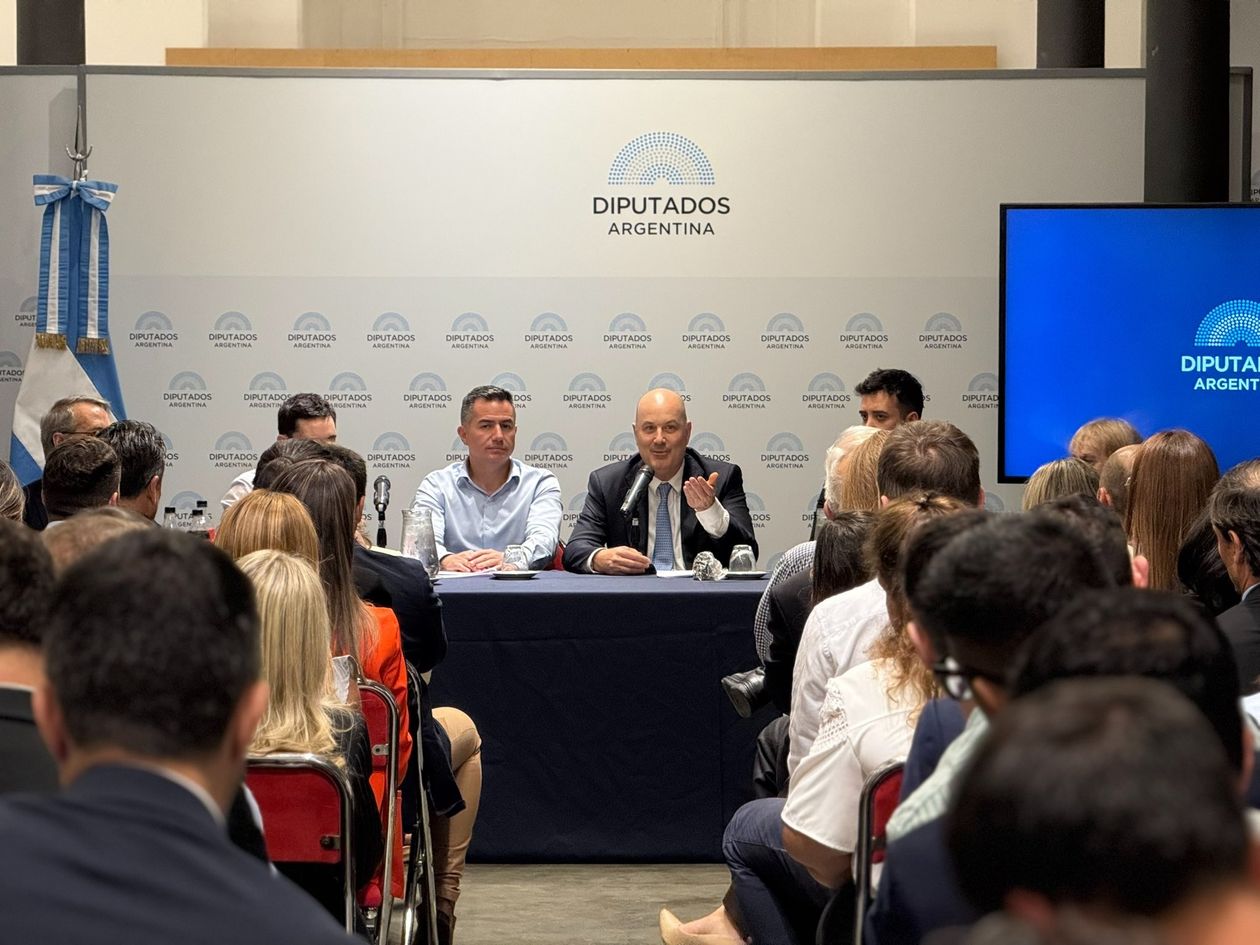 Federico Sturzenegger, durante su exposición en Diputados.&nbsp;