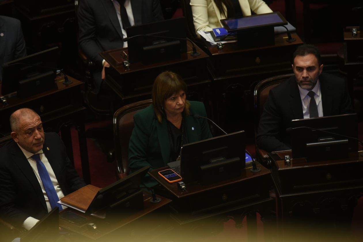 Patricia Bullrich, jefa del bloque del Gobierno en el Senado.&nbsp;