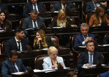 El bloque de La Libertad Avanza en Diputados.&nbsp;