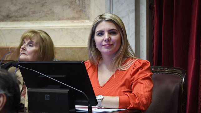 La senadora por el PRO de La Pampa, Victoria Huala, votó este jueves en serie contra el gobierno de su aliado Javier Milei.