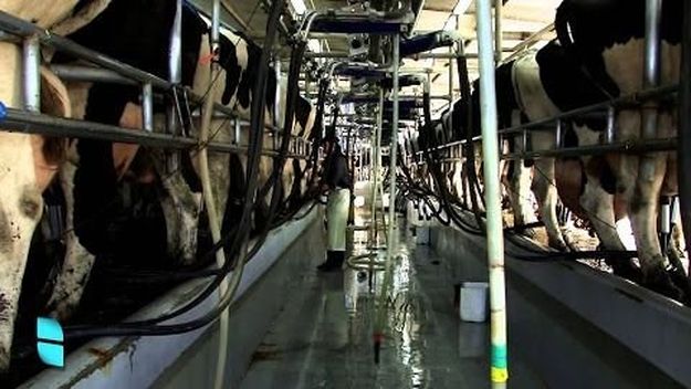 Tamberos bonaerenses, en pie de guerra contra la industria y el Gobierno