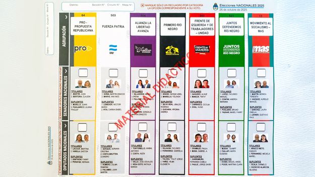Río Negro: así es la boleta única para votar en las elecciones legislativas del 26 de octubre.